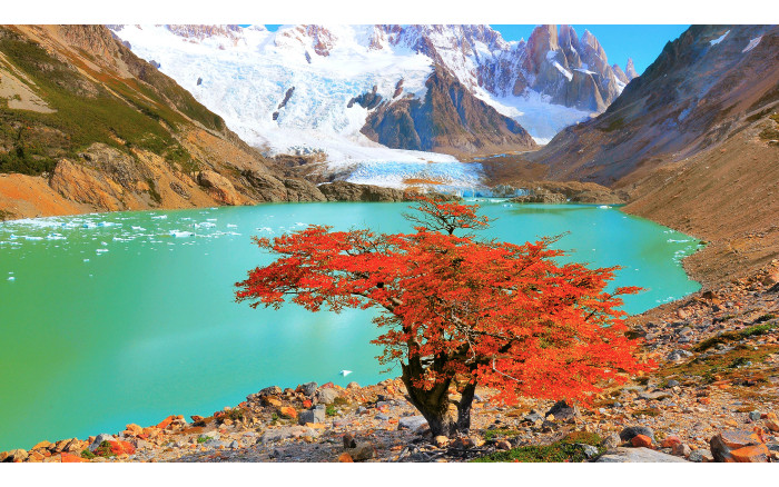 요세미티 국립공원