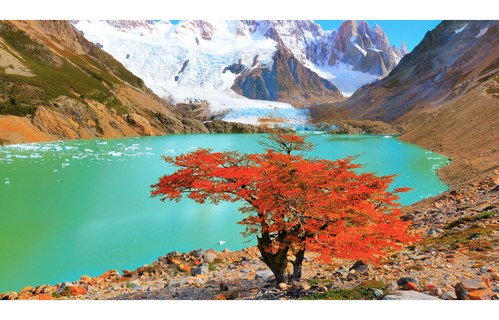 경치 좋은 강원도 돼지삼겹살집