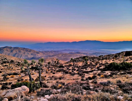 Joshua Tree National Park