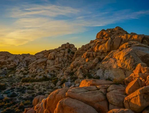 Joshua Tree National Park