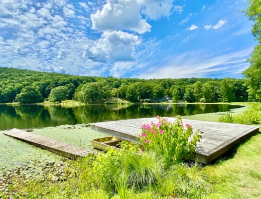 innisfree garden